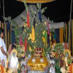 Vraj-Yatra-2014- (2076)
